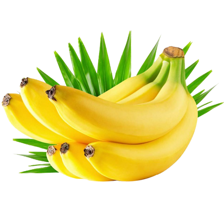 fitfinance.in